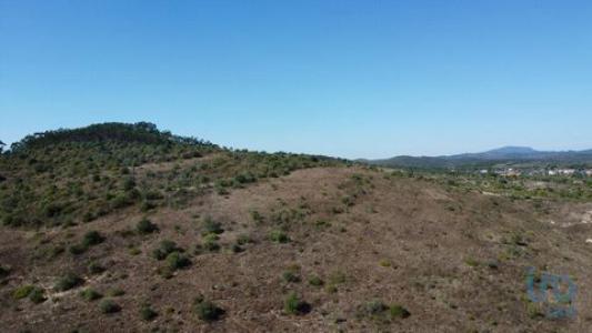 Annonce Vente Terrain Ferreira-do-zezere