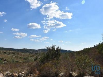 Acheter Terrain 32767 m2 Ferreira-do-zezere