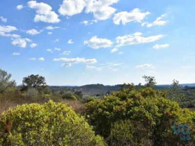 Acheter Terrain Ferreira-do-zezere rgion SANTAREM