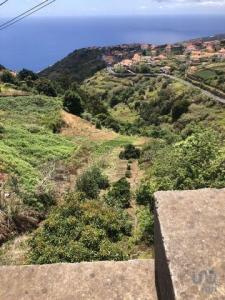 Annonce Vente 2 pices Maison Arco-da-calheta