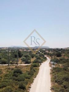 Acheter Terrain 29750 m2 Sesimbra