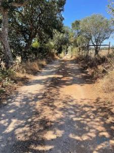 Acheter Terrain 332 m2 Palmela