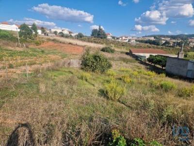 Acheter Terrain 1720 m2 Cadaval
