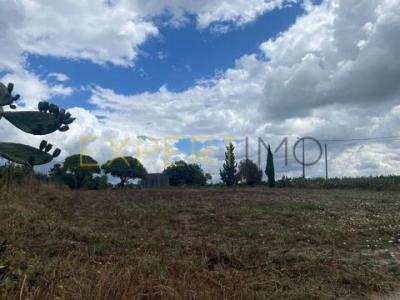 Annonce Vente Terrain Montijo