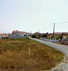 Acheter Terrain 3175 m2 Torres-vedras