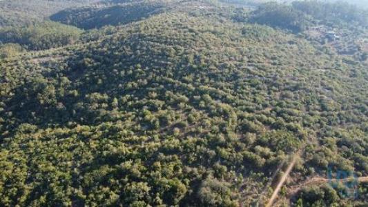 Acheter Terrain Ferreira-do-zezere rgion SANTAREM