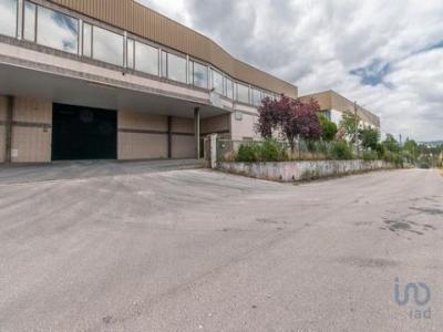 Acheter Local commercial 2764 m2 Ourem