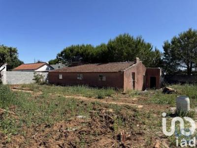 Acheter Maison 106 m2 Albarraque