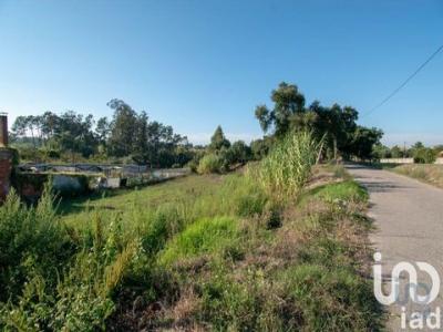 Acheter Terrain 2038 m2 Leiria