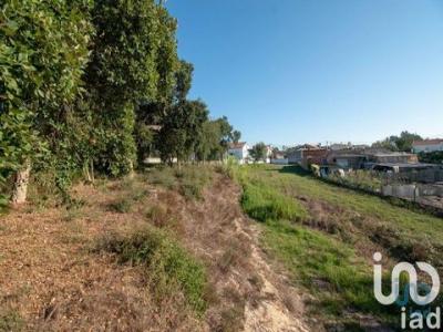 Acheter Terrain Leiria rgion LEIRIA