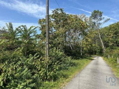 Annonce Vente Terrain Vila-verde
