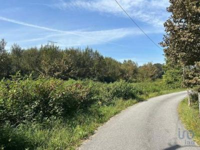 Acheter Terrain 10000 m2 Vila-verde