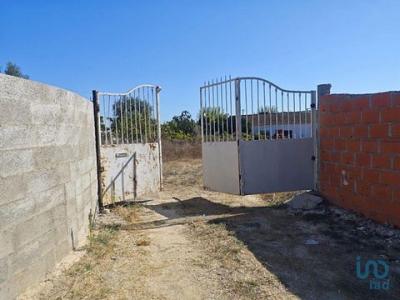 Acheter Terrain 2204 m2 Coruche