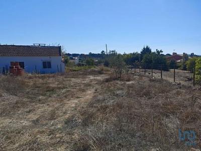 Acheter Terrain Coruche rgion SANTAREM