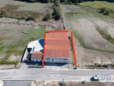 Acheter Local commercial 348 m2 Gaviao