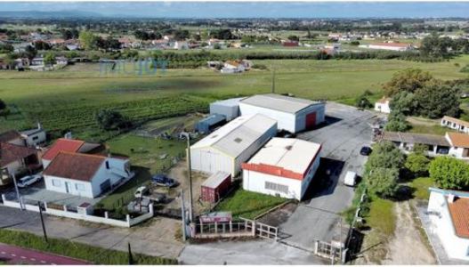 Annonce Location Local industriel Montijo