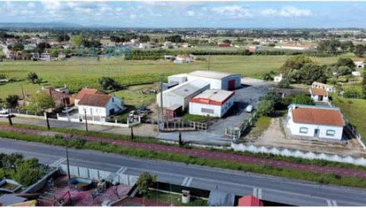 Louer Local industriel 530 m2 Montijo