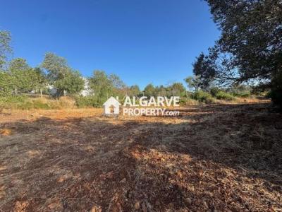 Annonce Vente Terrain Boliqueime