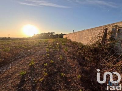 Acheter Terrain 2711 m2 Mafra