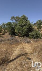 Vente Terrain Alcantarilha ALGOZ-E-TUNES 08 au Portugal