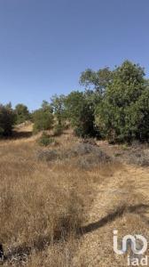 Annonce Vente Terrain Alcantarilha