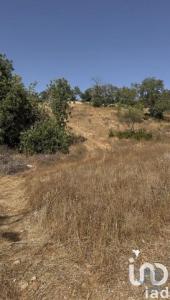 Acheter Terrain 6480 m2 Alcantarilha
