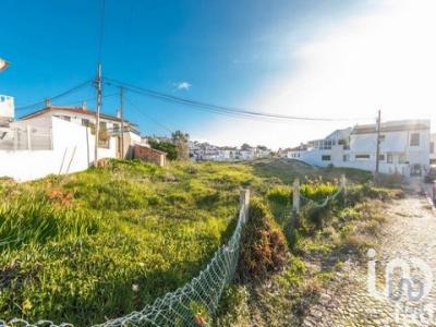 Acheter Terrain 4372 m2 Nazare