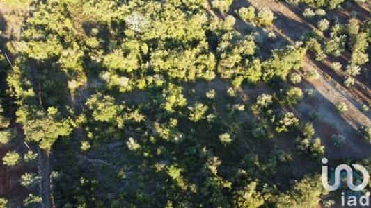 Vente Terrain Ferreira-do-zezere CHAOS 14 au Portugal