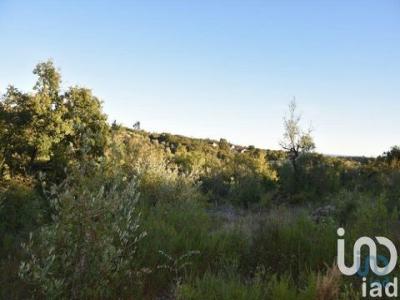 Annonce Vente Terrain Ferreira-do-zezere