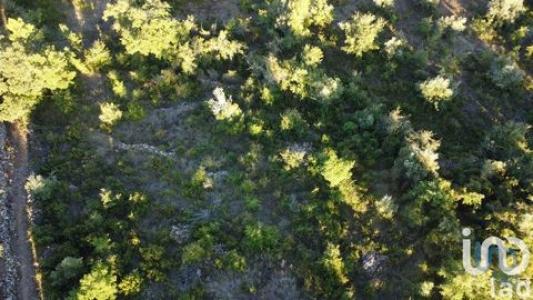 Acheter Terrain 3400 m2 Ferreira-do-zezere