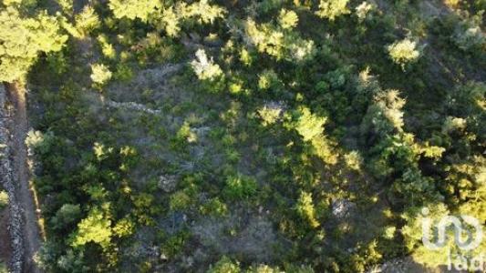 Acheter Terrain Ferreira-do-zezere rgion SANTAREM