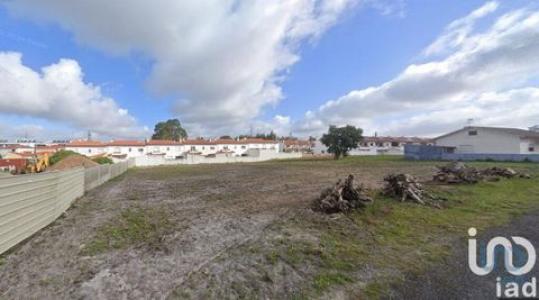 Annonce Vente Terrain Marinha-grande
