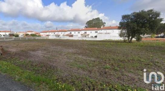 Acheter Terrain 4256 m2 Marinha-grande