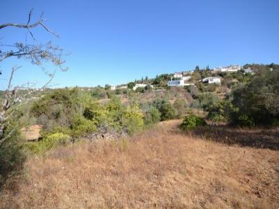 Annonce Vente Terrain Loule