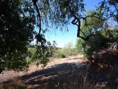 Acheter Terrain 6400 m2 Loule