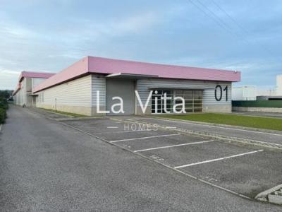 Annonce Vente Local industriel Sintra