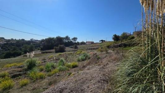 Acheter Terrain Mafra rgion LISBOA