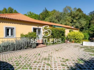 Annonce Vente Maison Sintra