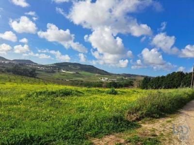 Annonce Vente Terrain Azueira