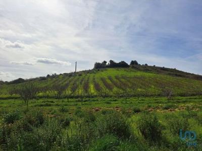 Acheter Terrain 21437 m2 Azueira