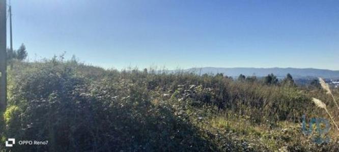 Acheter Terrain 14000 m2 Aguiar-de-sousa