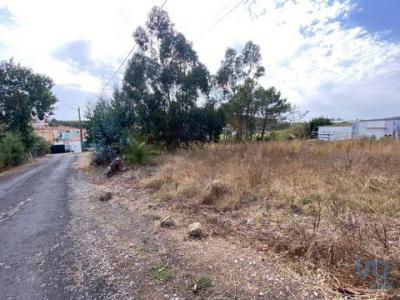 Annonce Vente Terrain Torres-vedras