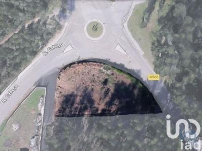 Annonce Vente Terrain Miranda-do-corvo