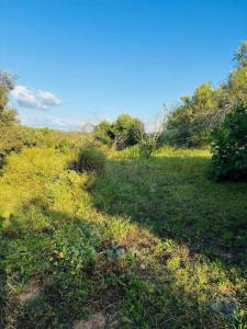 Acheter Terrain 3280 m2 Albufeira