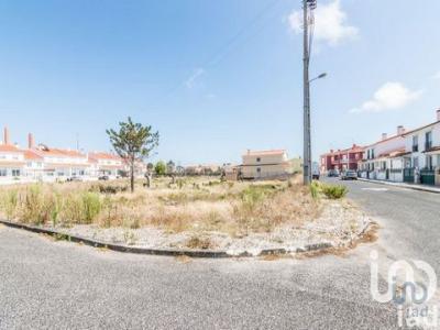 Annonce Vente Terrain Marinha-grande