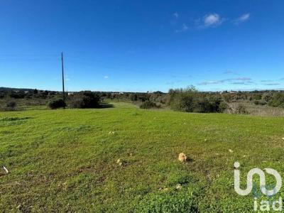 Acheter Terrain 3100 m2 Albufeira