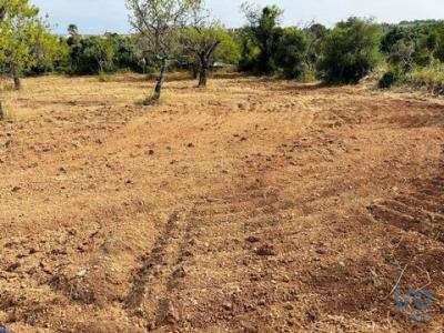 Acheter Terrain 1800 m2 Albufeira