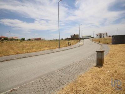 Acheter Terrain 540 m2 Almeida