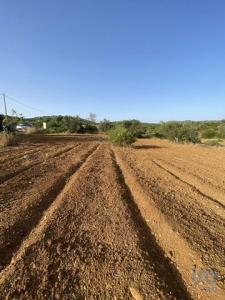 Vente Terrain Faro SANTA-BARBARA-DE-NEXE 08 au Portugal