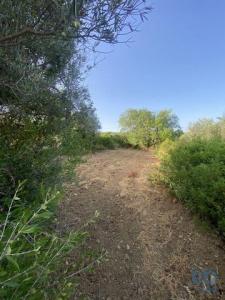 Acheter Terrain Faro rgion FARO